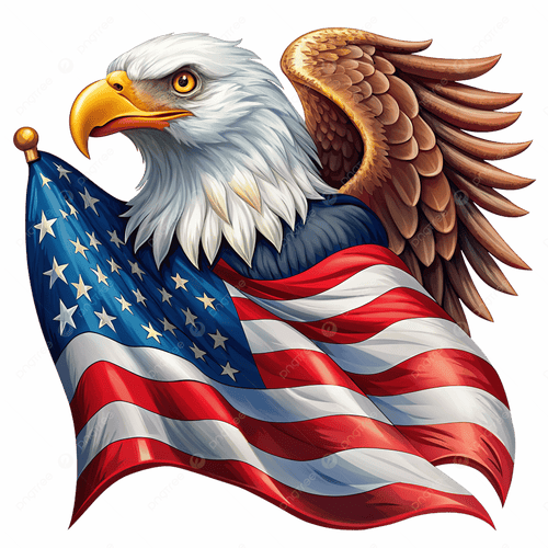 UNITED SPORT USA